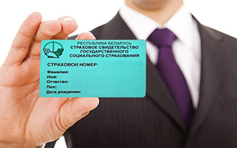 С 1 июня 2023 года более 30 стран прекратят работу с Беларусью по программе «Зеленая карта»