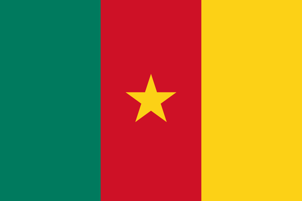 Виза в Камерун